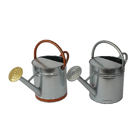 Traditional Metal Galvanized Watering Can