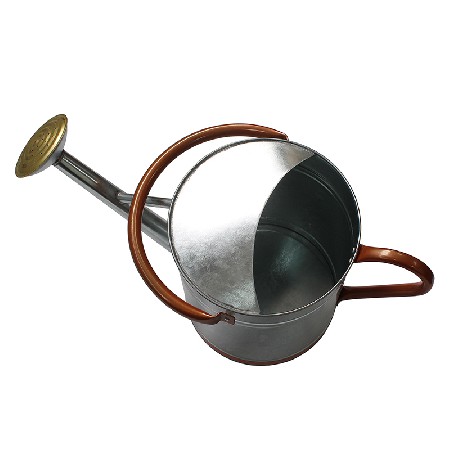 Metal Watering Can With Copper Decor